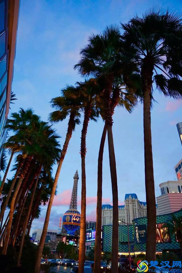 人们为什么喜欢咖啡厅,原来咖啡厅里有秘密