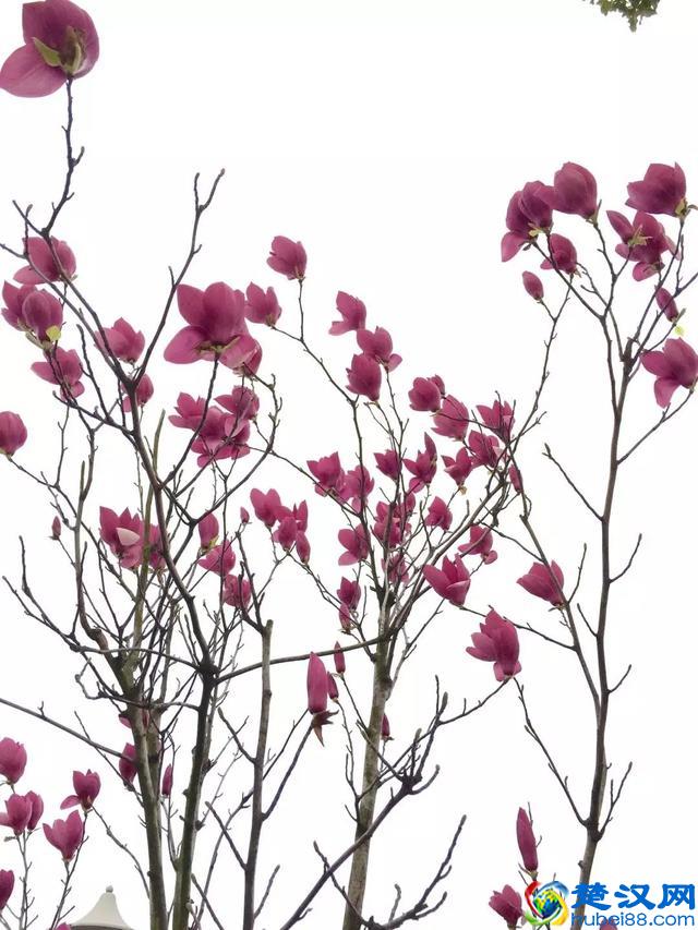 人们为什么喜欢咖啡厅,原来咖啡厅里有秘密