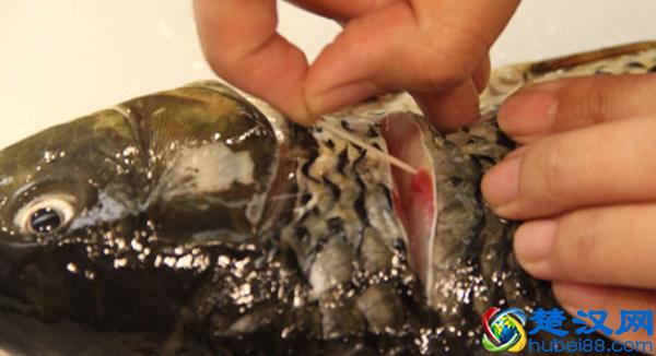 正宗巫山纸包鱼的做法及配方，喜欢的请拿走不谢