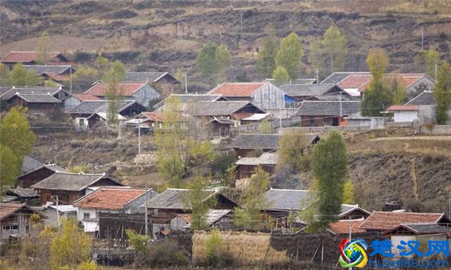 未来几年，最适合农村创业的几大行业，任意一个都比打工强