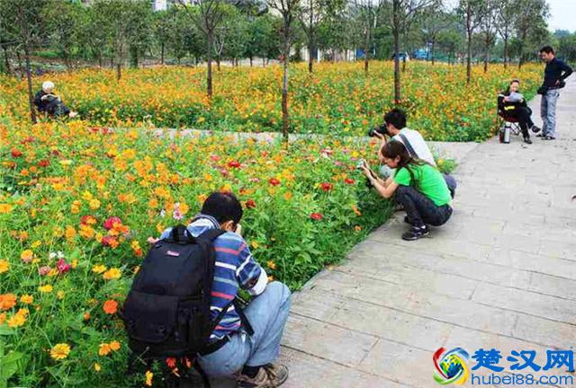 未来几年，最适合农村创业的几大行业，任意一个都比打工强