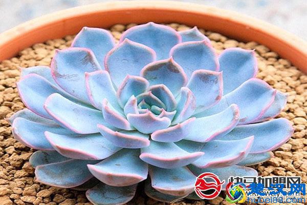 没经验的女性开什么店比较好