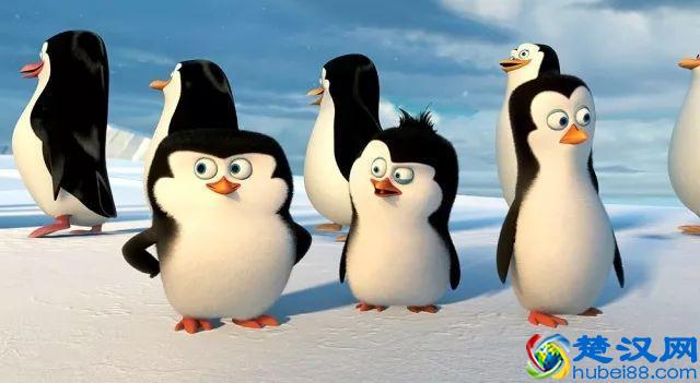 非常好看的九部喜剧片，千万不要错过！