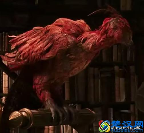 哈利波特为什么能打败伏地魔？你看看他手里拿的啥？