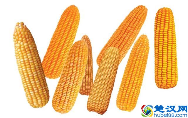 韩国人为什么被称为“棒子”？棒子在韩语中究竟是什么意思？