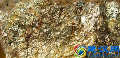 什么是狗头金？历史上最大的狗头金图片