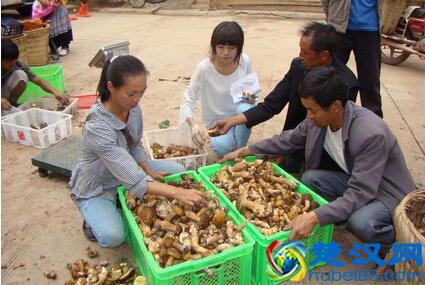 夏天来了，做什么生意能赚到钱