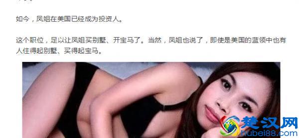 罗玉凤美国现状 凤姐罗玉凤怎么去的美国？凤姐政治避难咋回事
