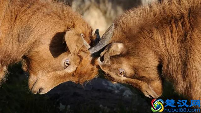 生活中，碰到「偏执狂」怎样相处