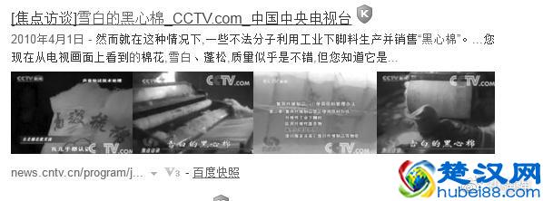 关于黑心棉你真的了解么？