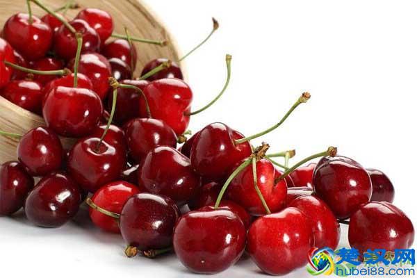 车厘子的市场价格如何?关于车厘子的知识扫盲