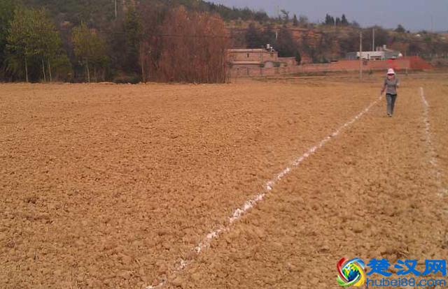 一亩地是多少平方米？