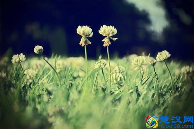 往事如烟，浅笑而安