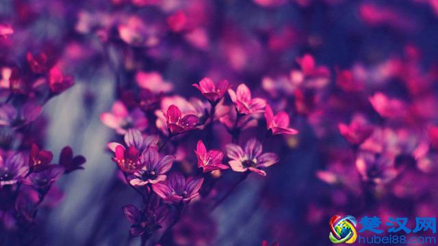 往事如烟，浅笑而安