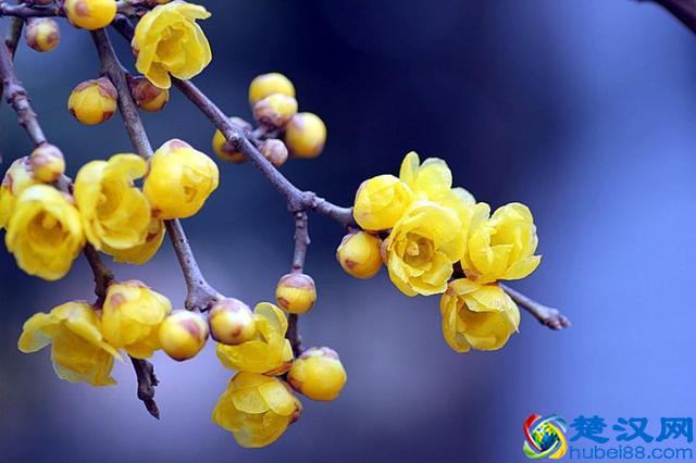 往事如烟，浅笑而安