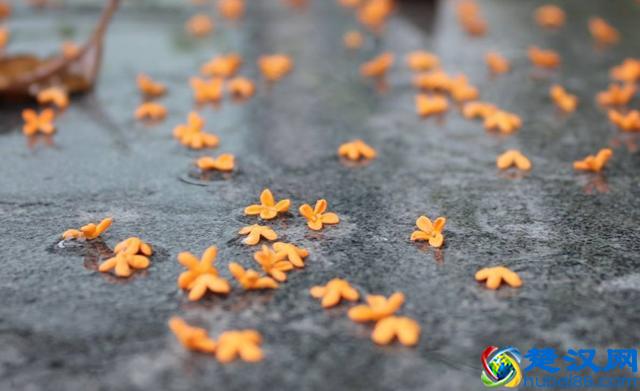 往事如烟，浅笑而安