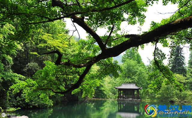 徐志摩《陌上花开》