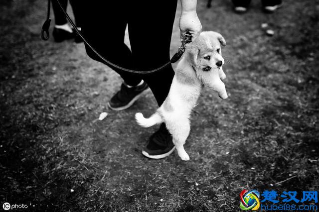 当你委屈了，无助了，记好“三句话”