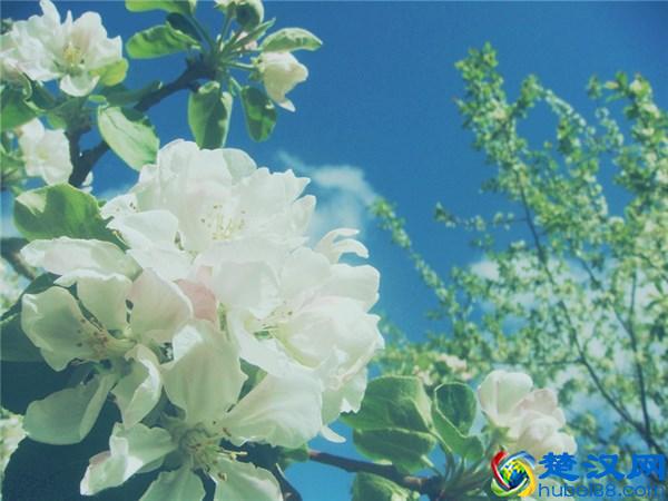 当你委屈了，无助了，记好“三句话”