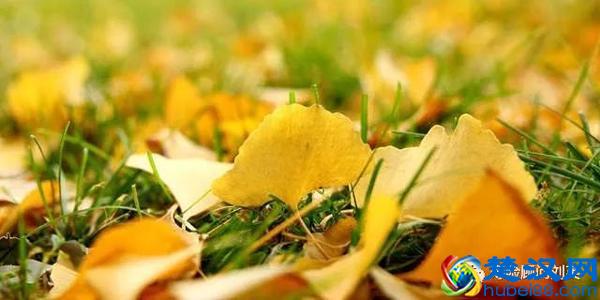 人，都是逼出来的