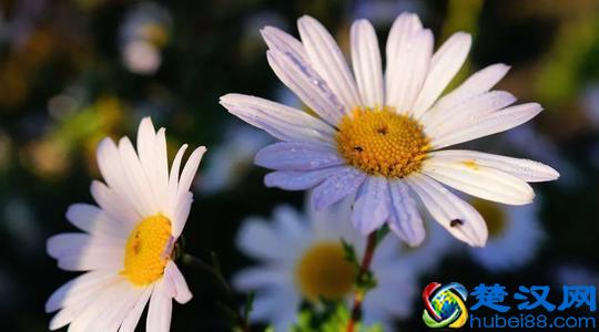 人，都是逼出来的