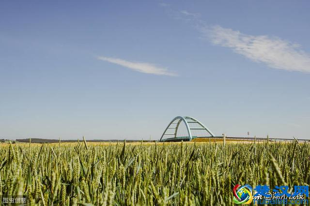 一个农村孩子的内心独白，农村扶贫工作的痛点，扶贫该怎么做？