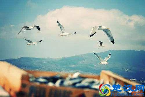 月薪5000和月薪50000,遇到的男人真的不一样