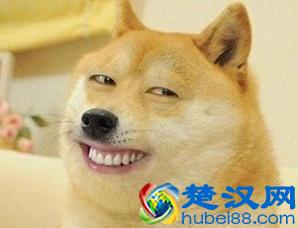 当百万编曲遇上负债填词 这些喝醉了才能写出来的歌词你听过几首