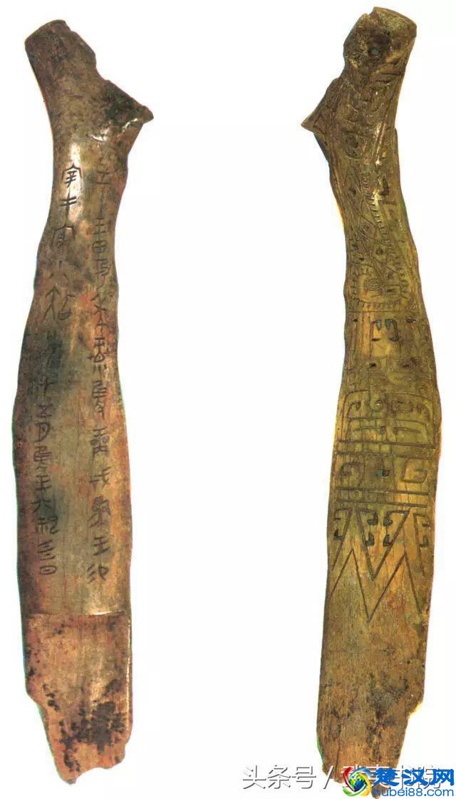 你知道你的姓氏用甲骨文怎么写吗？