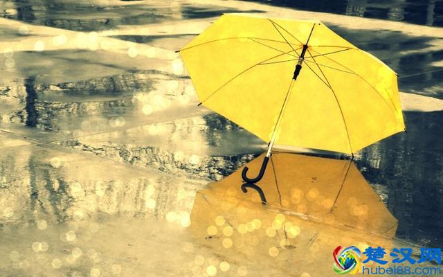 10句心灵寄语，总有一句触动你内心的柔软