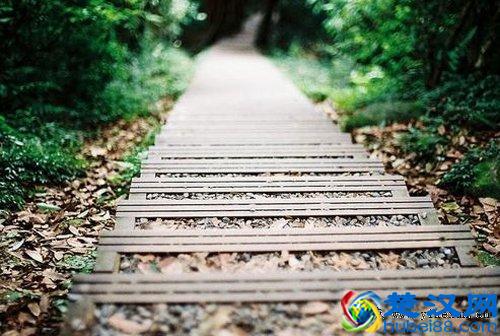 10句心灵寄语，总有一句触动你内心的柔软