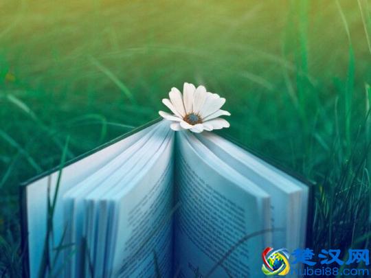 10句心灵寄语，总有一句触动你内心的柔软