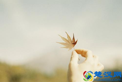 10句心灵寄语，总有一句触动你内心的柔软