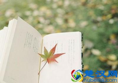 10句心灵寄语，总有一句触动你内心的柔软