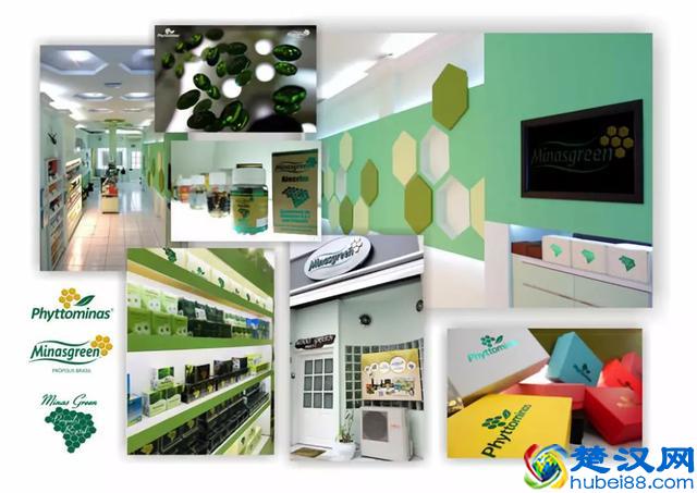 为什么医生总说不能吃蜂胶？这三类人千万不要吃