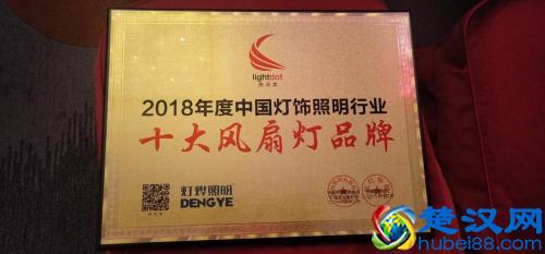 喜讯：灯烨照明荣获中国灯饰照明行业十大风扇灯品牌