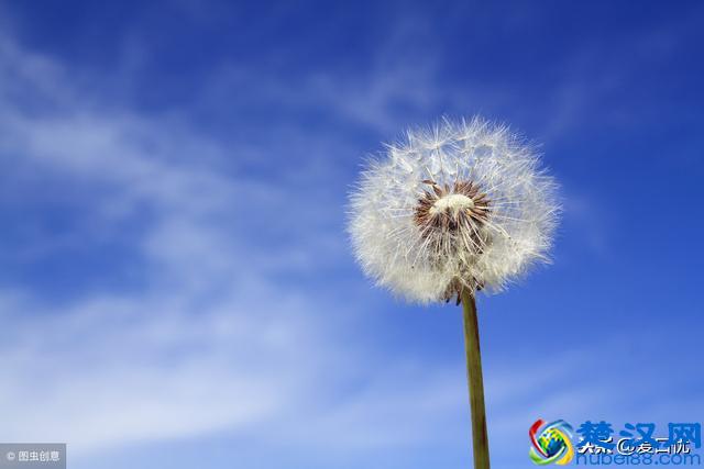 修养是不卑不亢，落落大方。九个细节看出修养！