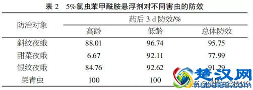 想种好甘蓝？4种重要害虫可要注意了