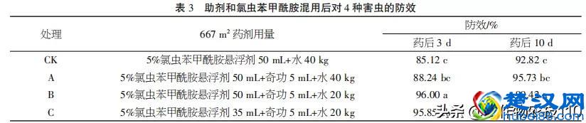 想种好甘蓝？4种重要害虫可要注意了