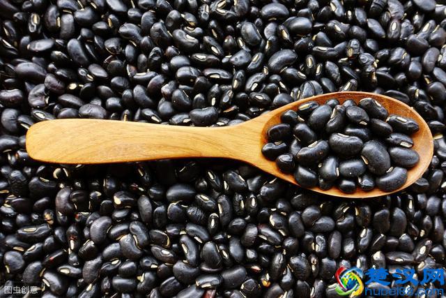 掉头发与五大因素有关，最应该补的东西是它