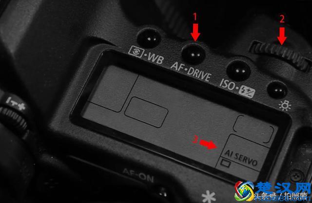 学会连续自动对焦，轻松追焦打鸟