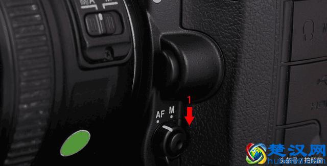 学会连续自动对焦，轻松追焦打鸟