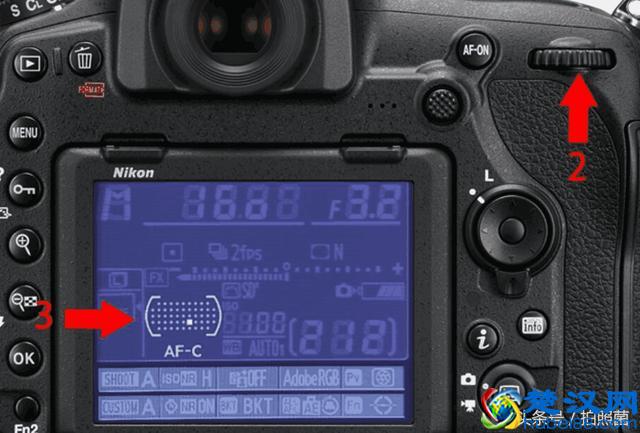 学会连续自动对焦，轻松追焦打鸟