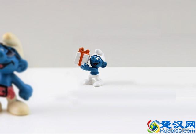 学会连续自动对焦，轻松追焦打鸟