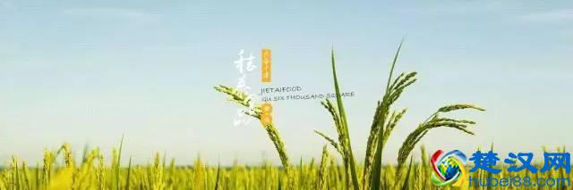 端午礼品太多，选择困难症又犯了？荆门人看这一条就够了！