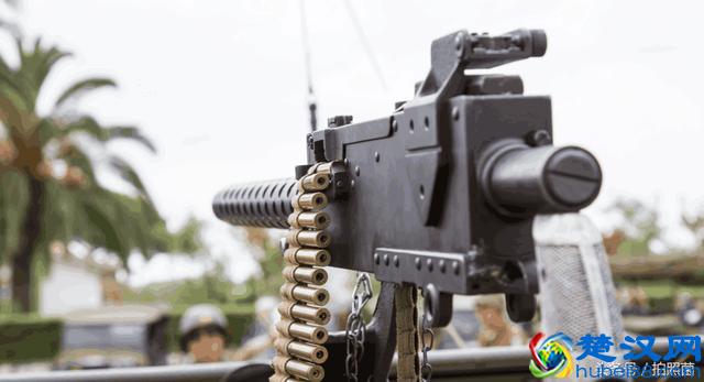 学会连续自动对焦，轻松追焦打鸟