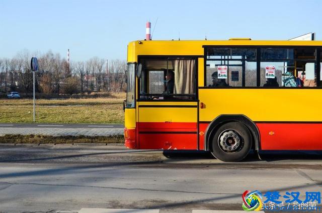 学会连续自动对焦，轻松追焦打鸟