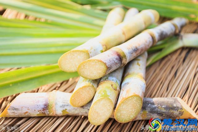 便秘吃什么好？吃完这4种水果，肠胃都被“打通”了