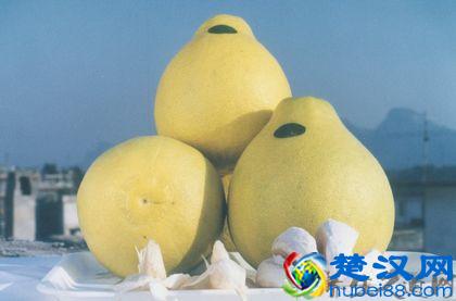 咳嗽吃什么水果好