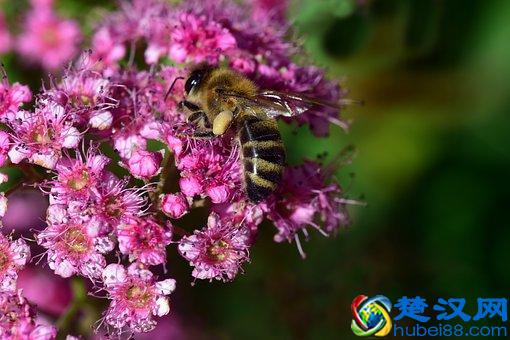 睡眠不好吃什么好调理？这些食疗方比安眠药更管用